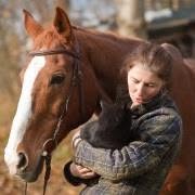 Reitsport Stecken-Pferd GmbH