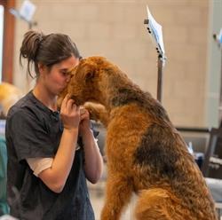 Hundesalon Vaja