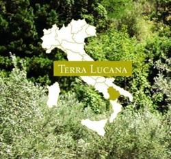 Terra Lucana - Olivenöl & Feinkost