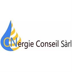 CS Energie Sàrl, succursale de Grimisuat