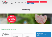 Website von Fiorino Kita Steffisburg
