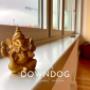DOWNDOG-YOGA2