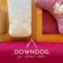 DOWNDOG-YOGA