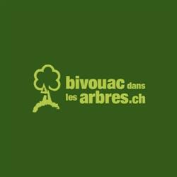 Bivouac Dans Les Arbres