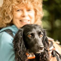 Bettwanzensuchhunde