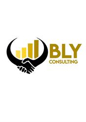 BLY Consulting GmbH