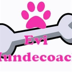 Hundeschule