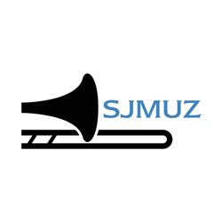 StadtJugendMusik Zürich SJMUZ