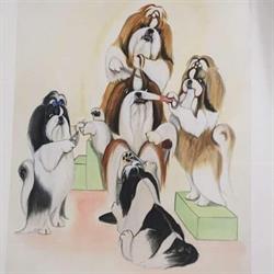 Agota's Hundesalon