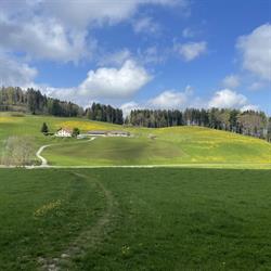 Biohof Rütti