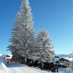 Chalet Marmotta