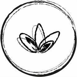 Intuition massage - réflexologie (agréé ASCA)