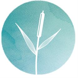 Invictus Studio
