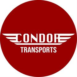 condor groupe