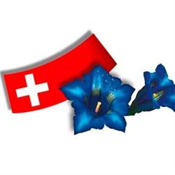 Oberland Reisen