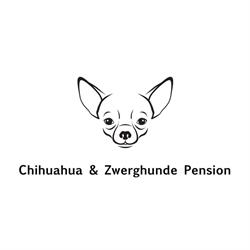 Chihuahua & Zwerghunde Pension