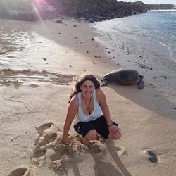 Maholi Light & Bodywork Kinesiologie Sibylle Stettler