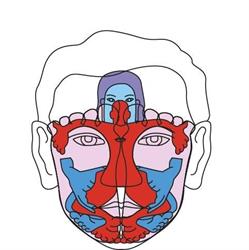 Gesichtsmultireflex Praxis & Kurse