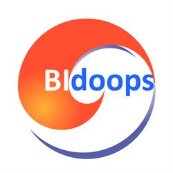 BIdoops