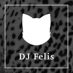 Hochzeits DJ Felis