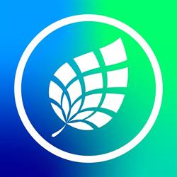 Codos Foundation