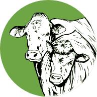 Biohof Deischbach