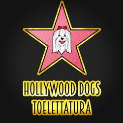 Toelettatura Hollywood Dogs