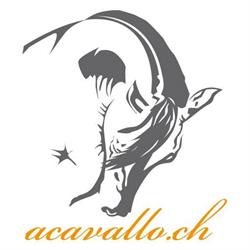 acavallo