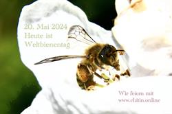 Chitin GmbH / Propolia Schweiz