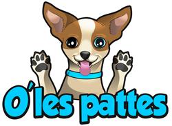 O'les pattes Sàrl - Espace bien-être chien et chat