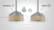 Brasserie Nationale - 2D Animation - STEP Film (4)
