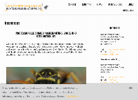 Website von der-kammerjaeger.ch in der Innerschweiz und Mittelland