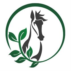 Horseandmore GmbH