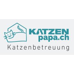 Katzen-Papa Marcel Kägi Katzenbetreuung