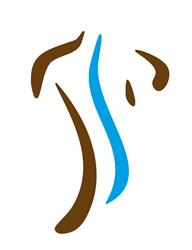 Pro Chiropraktik Luzern