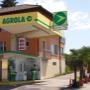 AGROLA Tankstelle in Niederglatt St. Gallen mit hohem Dach. Zwei Tanksäulen. Rechts bilden Palmen einen Schutz zur Strasse.
