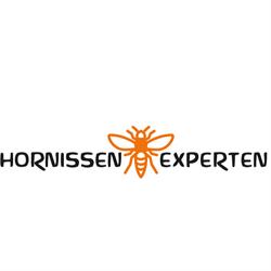 Hornissen Experten Kanton Basel-Stadt