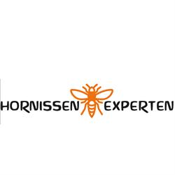 Hornissennest entfernen Kanton Zürich