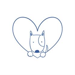 Weisse Hundetrainig