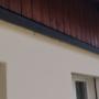 Hornissen Experten Kanton Bern