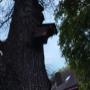 # 341