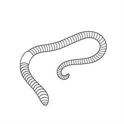 Lumbricus Gartenpflege