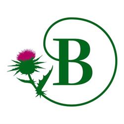 Brunnmatt Chrüteregge Sursee