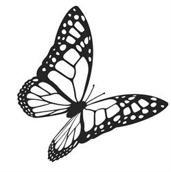 Collectif Papillon