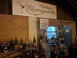 Goldene Blumenstube