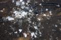 Nettoyage des fientes de pigeons
