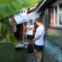 Wespennest entfernen Basel