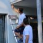 Wespennest entfernen Basel