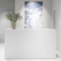 Alpine White Studio Oerlikon Eingang