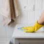 Cleaning Services in Solothurn